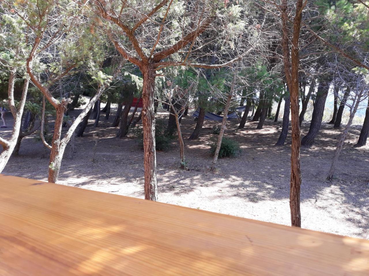 La Macciona Apartment Aglientu Exterior photo
